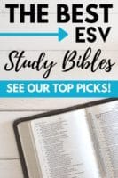 The 66 Books of the Bible in Order Plus! Free Printable