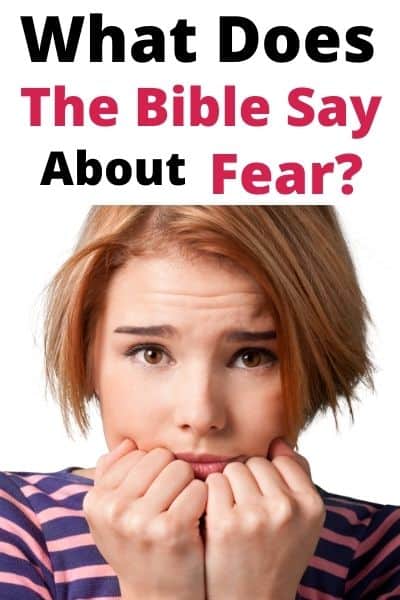 5 Things The Bible Says About Fear Scriptures On Fear