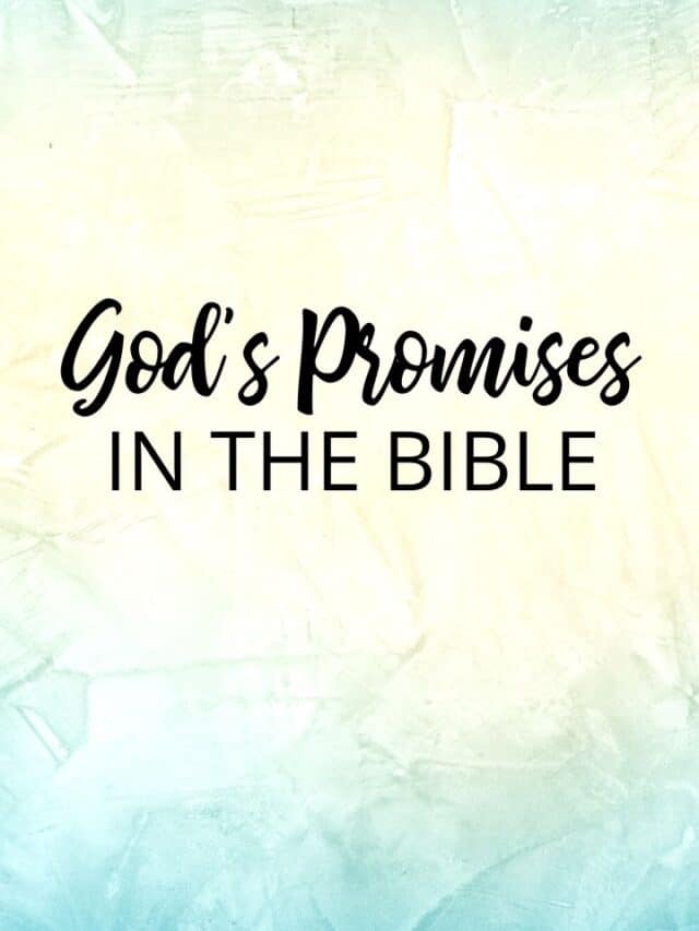 The Promises of God - Money Wise Steward